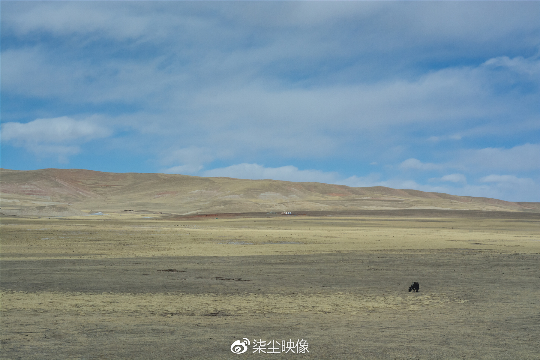 辽阔无垠打一生肖详细解答、解释与落实、定量解答解释落实